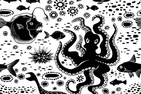 深海生物图案面料印花设计，打造独特海洋风格服装