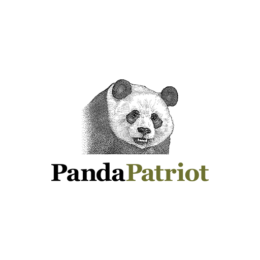 卡通熊猫图案手绘熊猫男装印花素材熊猫头像