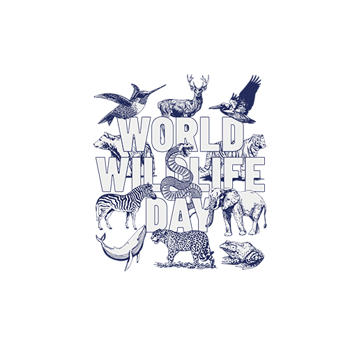 卡通英文字母图案卡通动物图案鸟图案豹子斑马大象