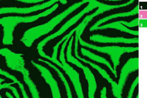 荧光绿斑马纹面料印花素材，适用于潮牌服装印花设计