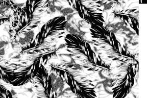 黑白羽毛纹理面料印花素材，适用于服装印花设计与数码印制