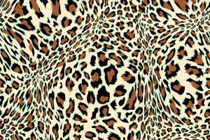 经典豹纹面料印花素材图，适用于服装印花设计与数码印染