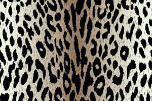 经典豹纹面料印花素材图，适用于服装印花设计与时尚服饰开发