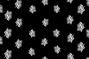 黑白蕾丝花卉面料印花素材，适用于高端服装印花设计