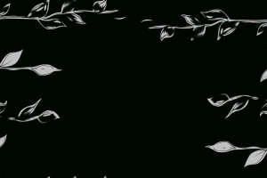 黑底蓝粉花卉面料印花素材，适用于服装印花设计与数码印染