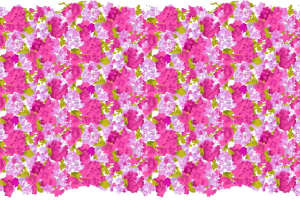 粉紫渐变绣球花面料印花素材，适用于春夏服装印花设计