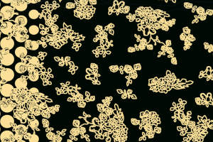 金色花卉线条风面料印花素材，适用于高端服装印花设计