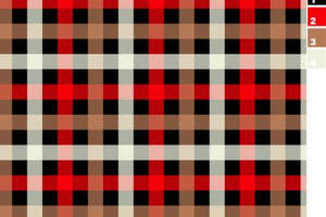 经典红黑格纹面料印花素材，适用于秋冬服装印花设计