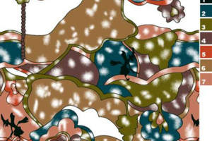 抽象童话风面料印花素材，适用于儿童服装与创意女装印花设计