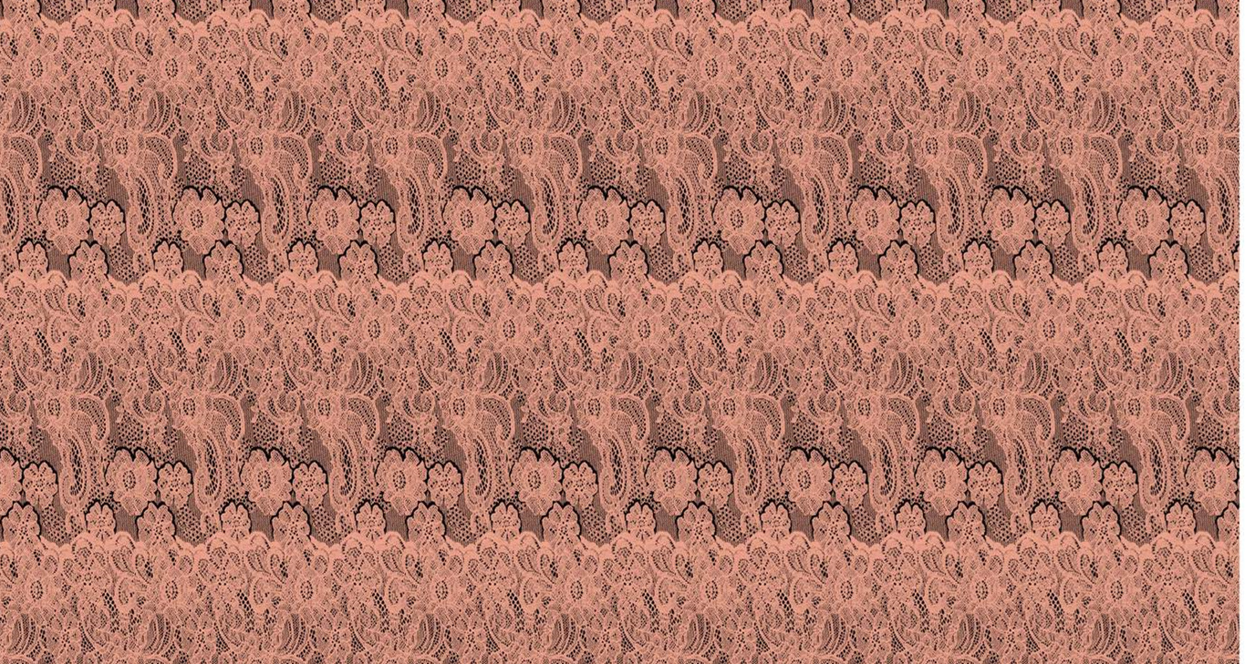 复古蕾丝花卉面料印花素材,适用于女装衬衫与连衣裙服装印花设计