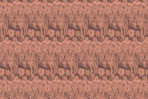 复古蕾丝花卉面料印花素材，适用于女装衬衫与连衣裙服装印花设计