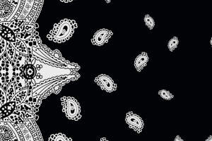 黑白佩斯利花纹面料印花素材，适用于服装印花设计与数码印制