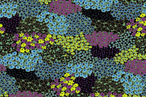 高密度小碎花面料印花素材，适用于春夏服装印花设计