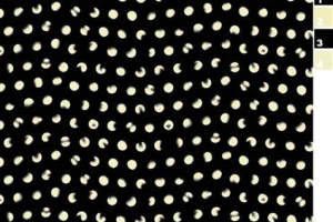 黑白抽象圆点肌理面料印花素材，适用于服装印花设计