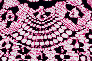 高对比度粉黑几何花卉面料印花素材，适用于时尚服装印花设计