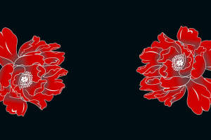 经典红牡丹面料印花素材，适用于服装印花设计与高端服饰定制