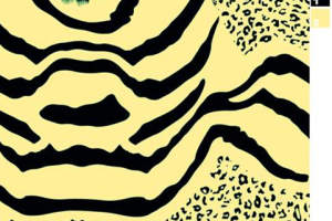 黄底黑纹豹纹与斑马纹拼接面料印花素材，适用于服装印花设计