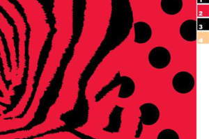 红底黑纹斑马条纹+波点组合面料印花素材，适用于服装印花设计