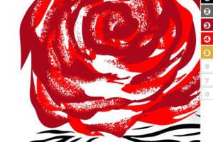 红玫瑰豹纹斑马纹拼接面料印花素材，适用于服装印花设计