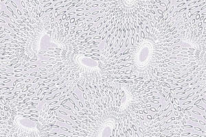 简约几何波纹面料印花素材，适用于服装印花设计与数码印染