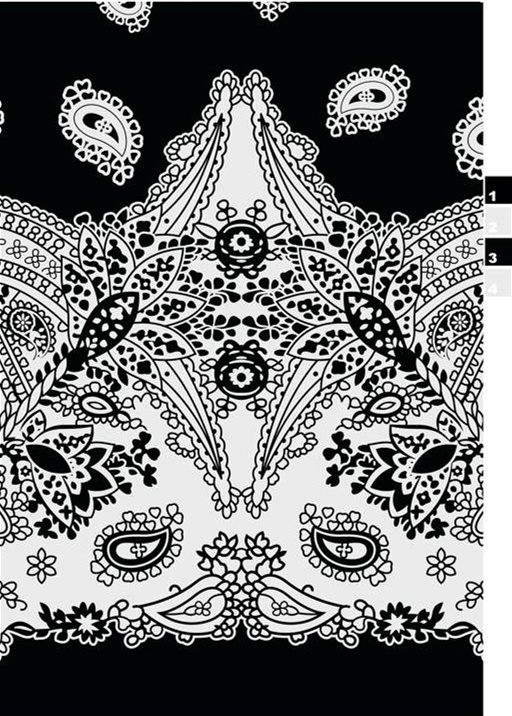 经典黑白佩斯利面料印花素材,适用于服装印花设计与数码印制