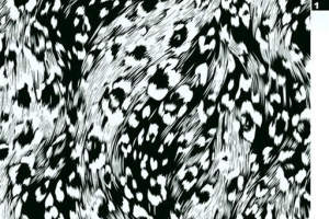 黑白抽象豹纹面料印花素材，适用于服装印花设计与数码印制