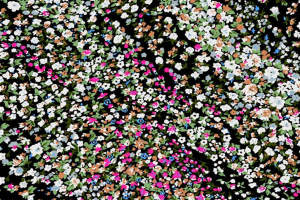 繁花密语面料印花素材：高密度小碎花服装印花设计图