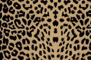 经典豹纹面料印花素材图，适用于服装印花设计与时尚服饰开发