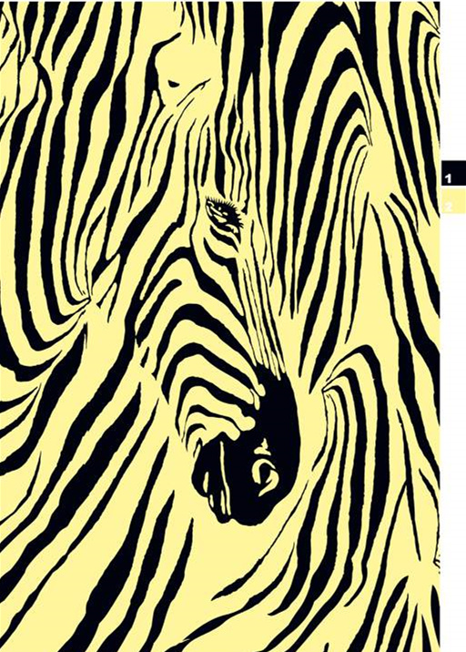 斑马纹抽象艺术面料印花素材,适用于服装印花设计与潮流服饰开发