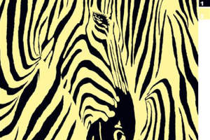 斑马纹抽象艺术面料印花素材，适用于服装印花设计与潮流服饰开发