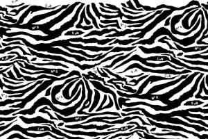 经典斑马纹面料印花素材图，适用于服装印花设计与数码印制