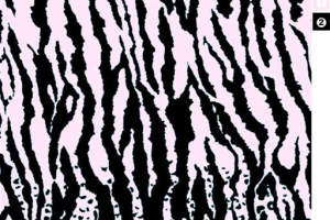 黑白斑马纹与豹纹拼接面料印花素材，适用于时尚服装印花设计