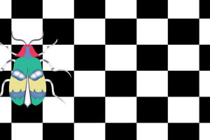 几何棋盘背景上的彩色甲虫图案面料印花素材