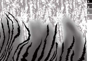 斑马纹与肌理灰底结合的服装印花素材，适用于潮流服饰设计