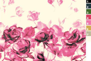 柔美粉红玫瑰面料印花素材，适用于女装服装印花设计