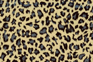 经典豹纹面料印花素材图，适用于服装印花设计与数码印染