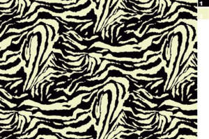 黑白斑马纹面料印花素材，适用于服装印花设计的高对比度纹理图