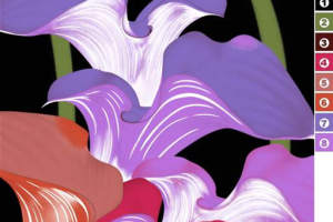 紫红渐变鸢尾花面料印花素材，适用于高端服装印花设计