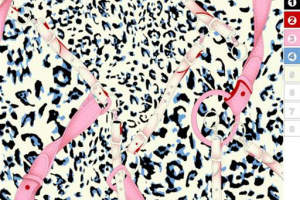 豹纹底粉白马具图案面料印花素材，适用于时尚服装印花设计