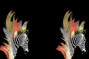 斑马头像抽象笔触风面料印花素材，适用于潮牌服装印花设计