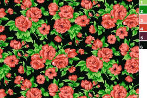 复古红玫瑰黑底面料印花素材，适用于服装印花设计与数码印制