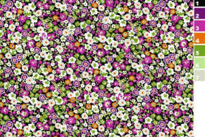 密集小碎花面料印花素材，适用于春夏服装印花设计