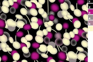 抽象浆果风面料印花素材，适用于服装印花设计的高对比度图案