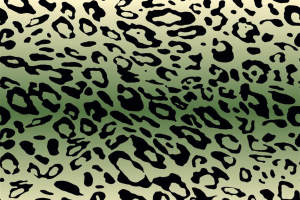 经典豹纹面料印花素材图，适用于服装印花设计与数码印染