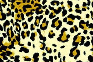 经典豹纹面料印花素材图，适用于服装印花设计与时尚服饰开发