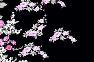 黑底粉白花卉面料印花素材，适用于服装印花设计与数码印染