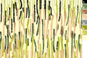 抽象条纹肌理面料印花素材，适用于春夏服装印花设计