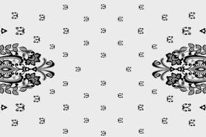 经典黑白蕾丝花卉面料印花素材，适用于高端服装印花设计