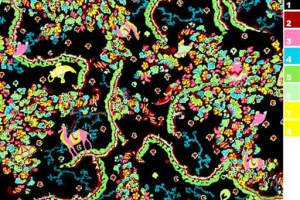 高饱和迷幻风面料印花素材，适用于潮流服装印花设计