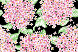 粉白绣球花簇面料印花素材，适用于春夏服装印花设计